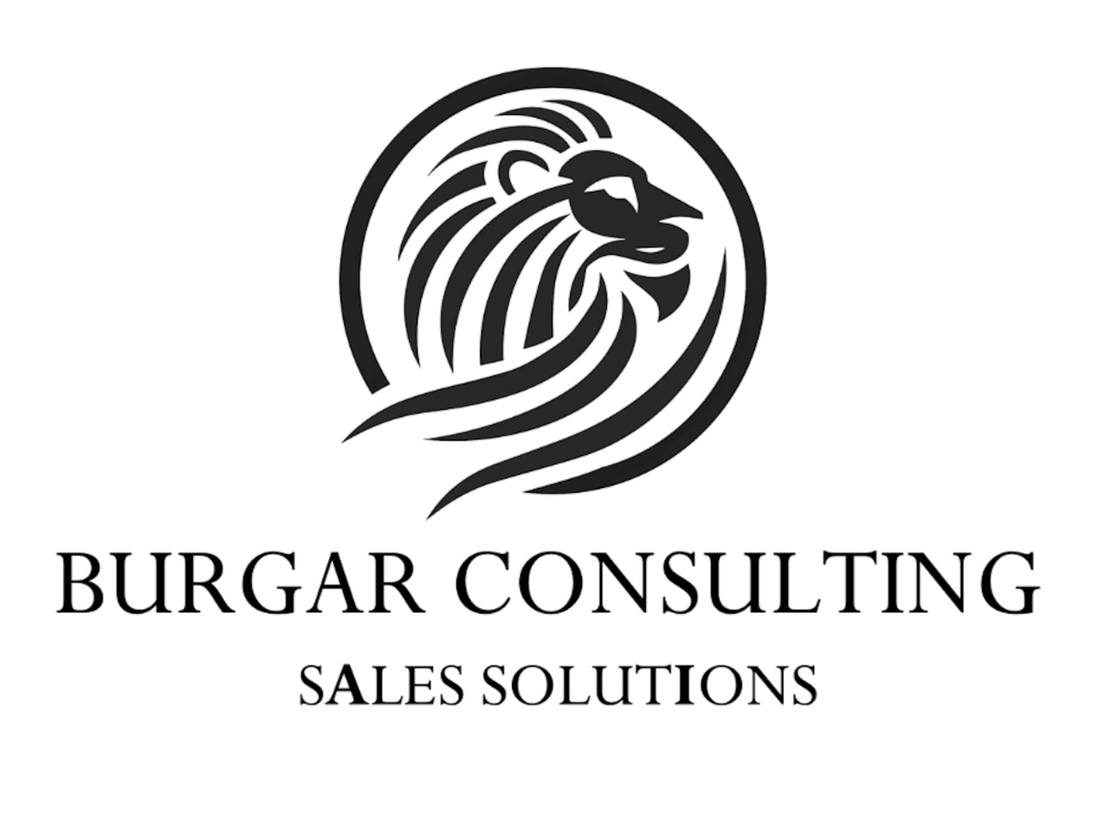 Burgar Consulting Sales Solutions